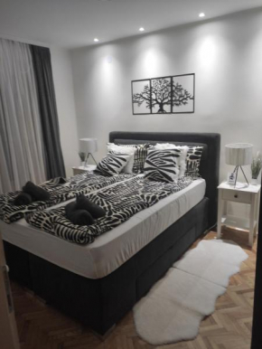 KUĆA VILA IDILA VRŠAC